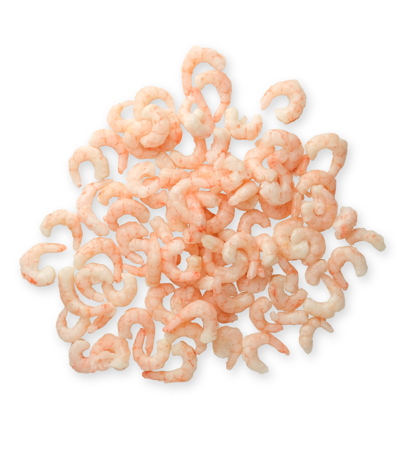 Cooked Norwegian Shrimp